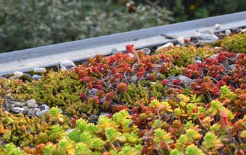 the cost of Spring Green green roof installation