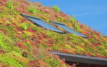 Spring Green living roof systems