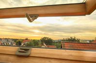 rated Spring Green roof window companies